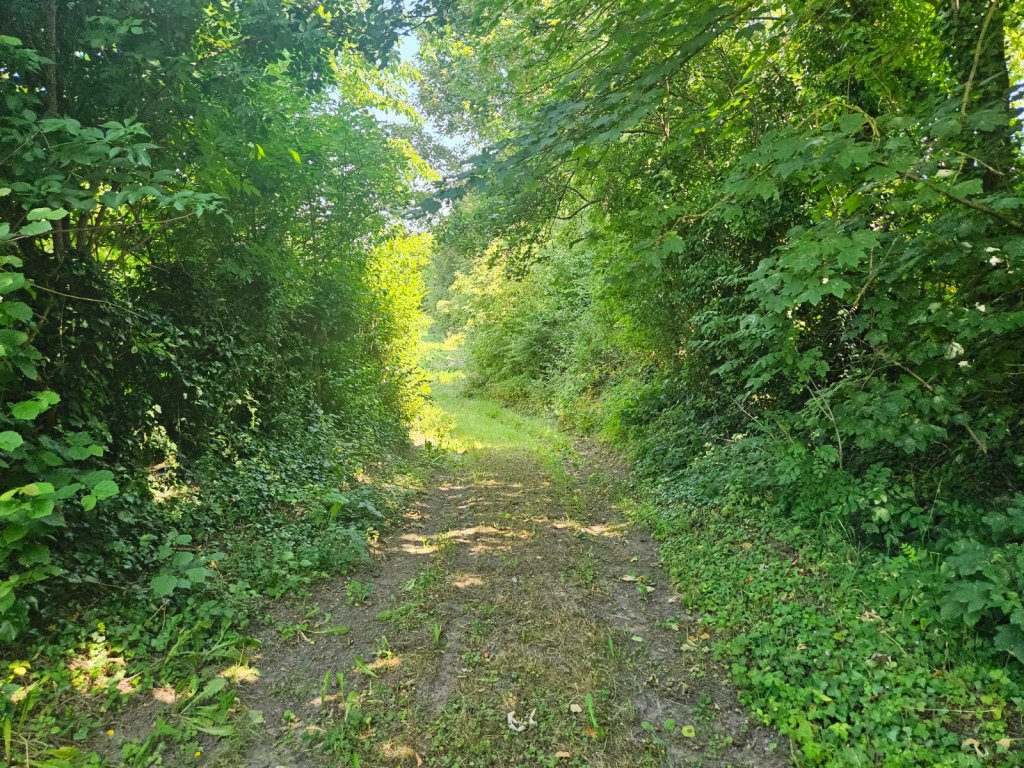 Terrain constructible 2951 m² A VENDRE - ESQUERDES - 55 000 &euro;