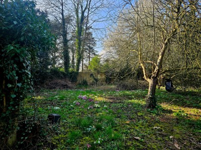 Un ensemble immobilier rare à fort potentiel! A VENDRE - LUMBRES - 497 m2 - 525 000 €