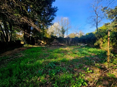 Un ensemble immobilier rare à fort potentiel! A VENDRE - LUMBRES - 497 m2 - 525 000 €