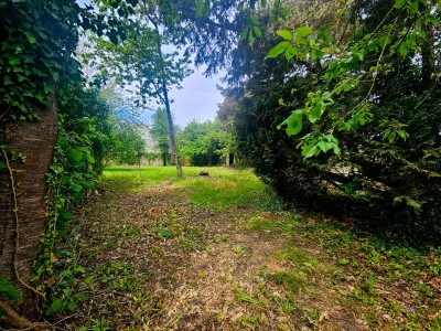 Un ensemble immobilier rare à fort potentiel! A VENDRE - LUMBRES - 497 m2 - 525 000 €