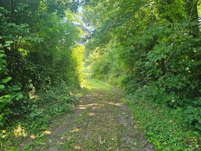 Terrain constructible 2951 m² A VENDRE - ESQUERDES - 55 000 €