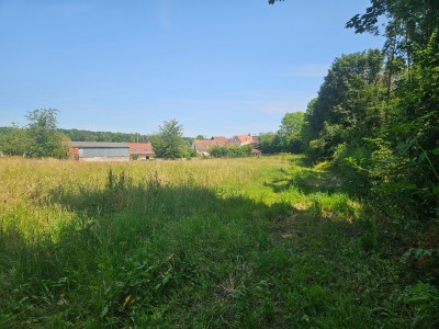Terrain constructible 2951 m² A VENDRE - ESQUERDES - 55 000 €